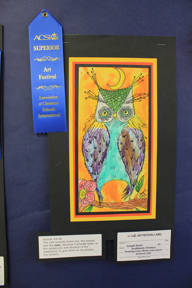 Southland 2014 ACSI Art Festival Winners