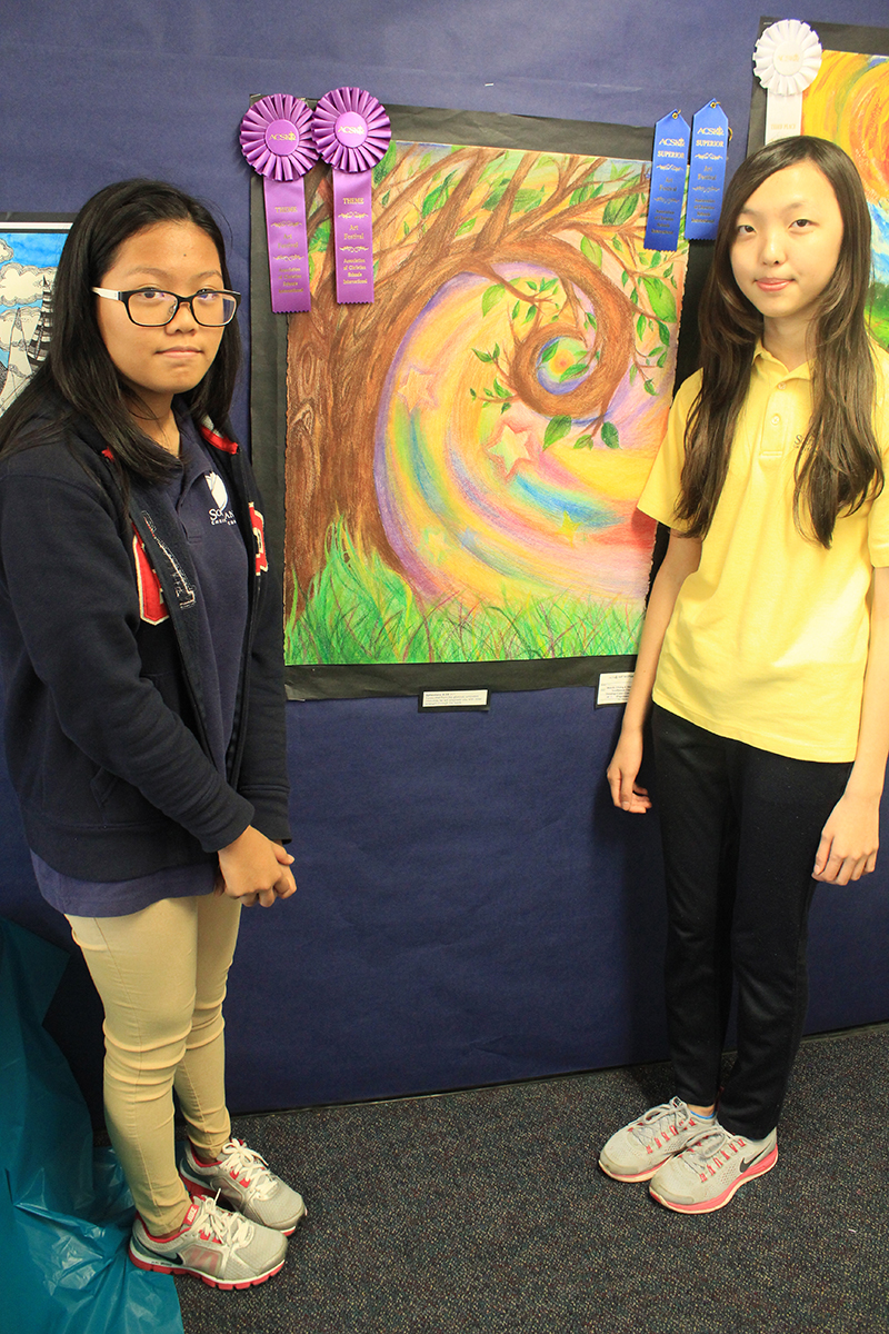 Southland 2014 ACSI Art Festival Winners