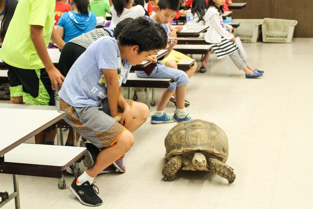 Southland Summer Camp 2015