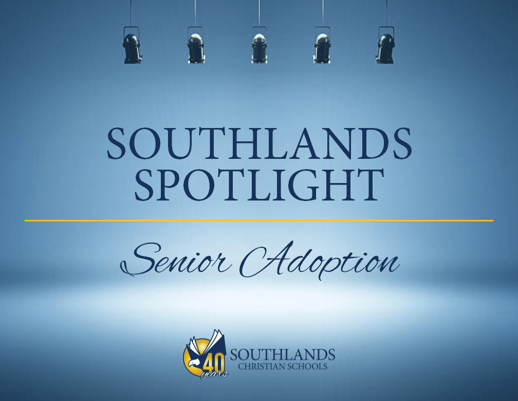 southlands spotlight senior adoption